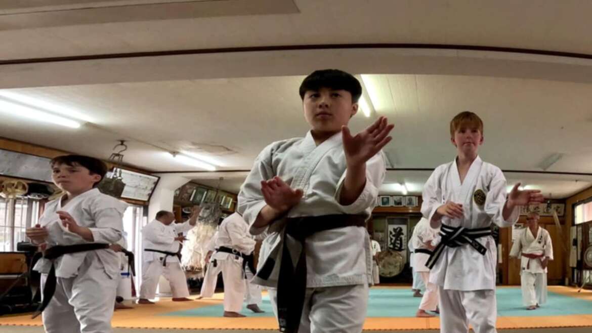 Intermediate / Adults Classes