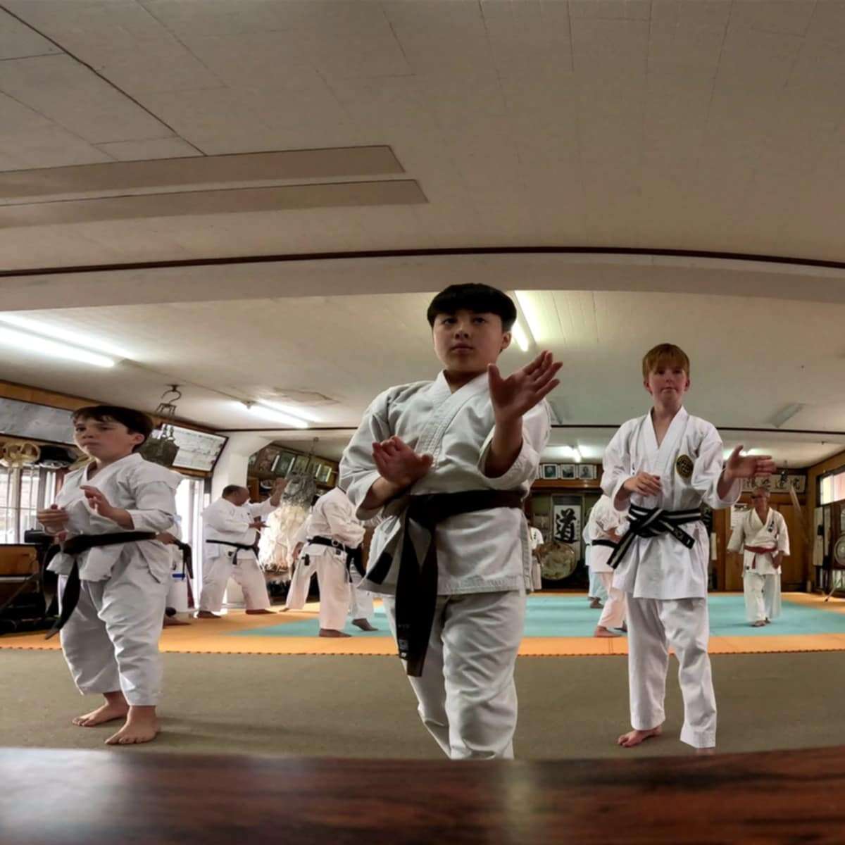 Intermediate / Adults Classes