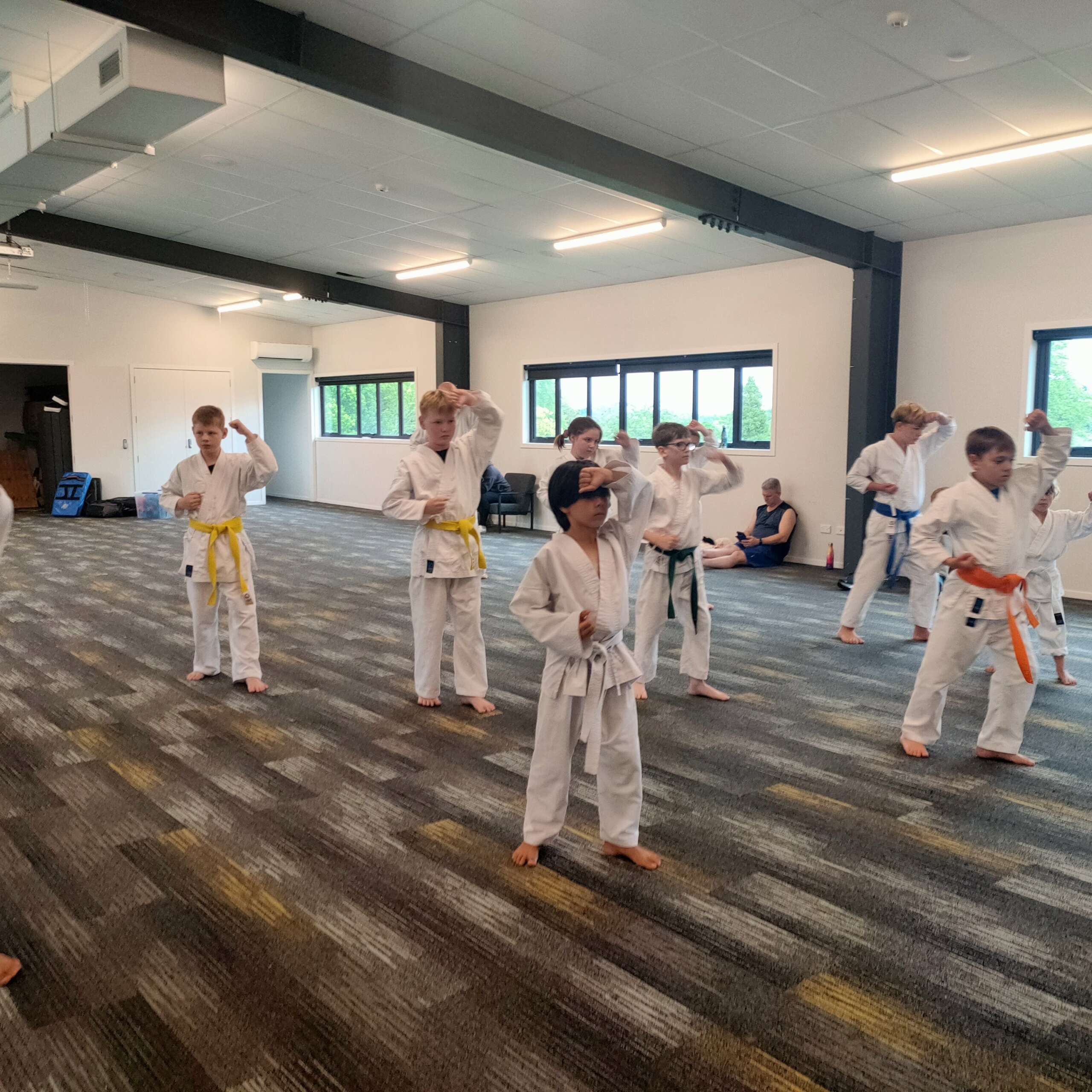 Traditional Karate